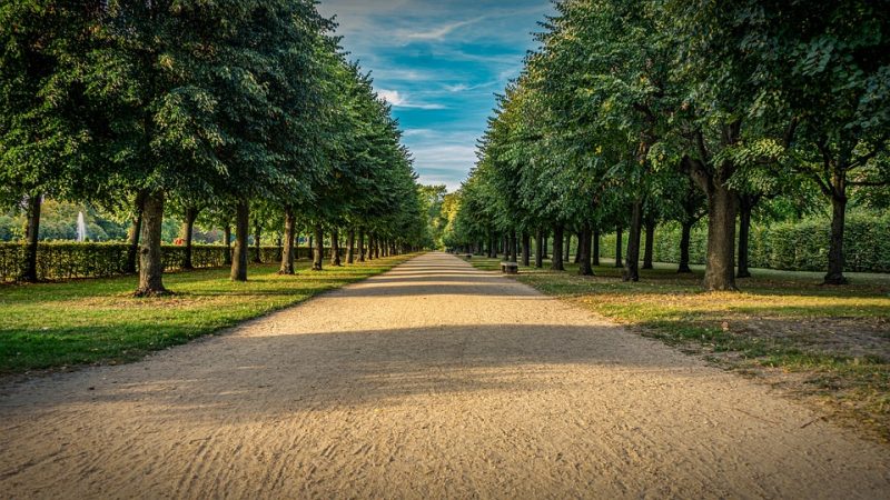 Don’t Miss Out: Top Investing Tips for a Secure Financial Future Don’t Miss Out: Top Investing Tips for a Secure Financial Future