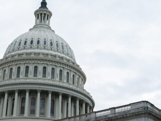 U.S. risks losing ‘reliable investment’ status, Allianz GI manager says