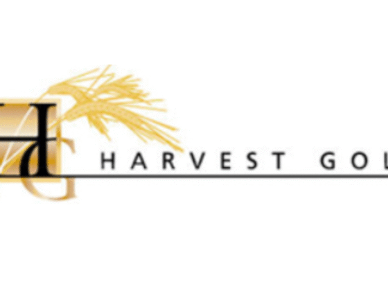 Harvest Gold Soil Sampling Program Reveals Several New Gold Targets At Its Quebec Mosseau Project