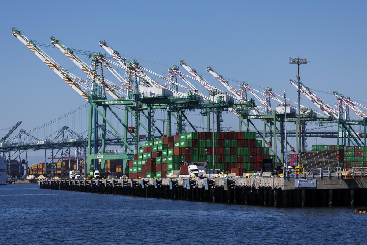 Cargo containers are stacked near the shore as normally bustling berths sit empty.