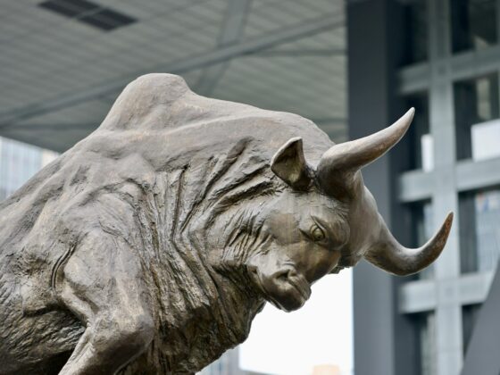 All Signs Point Up as BTC Price Hits Record High