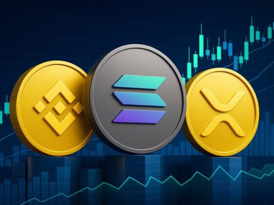 BNB Price Surge Leads Crypto Gains as Bitcoin Climbs