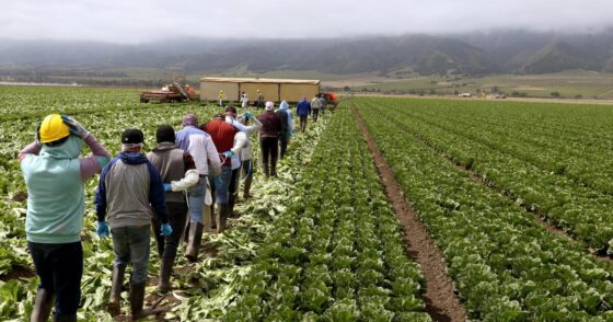 Central Coast farmers invest in guest worker housing to stabilize workforce