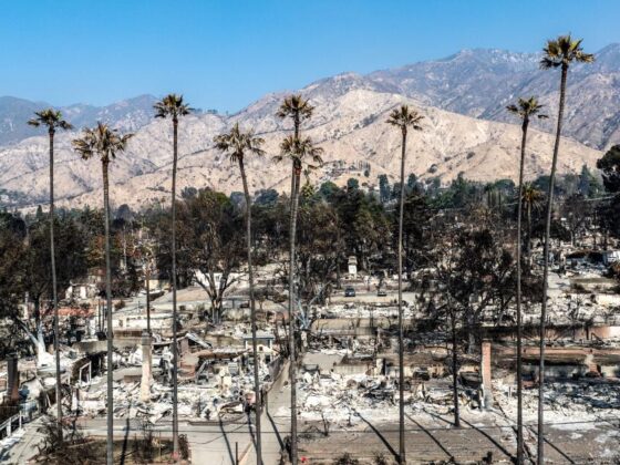 Did insurers collude to force homeowners onto state insurance plan? What to know from two blockbuster lawsuits