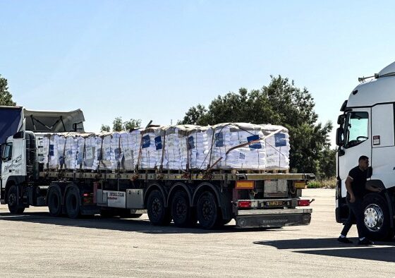 Head of Gaza humanitarian group resigns as doubts mount over aid