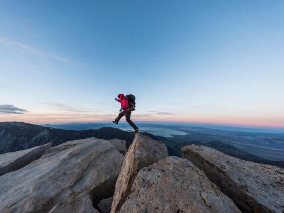 How Clients’ Investment Goals Reflect Risk Behavior and Hidden Biases