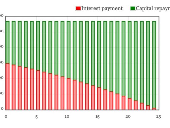 How do home ownership and mortgages affect your portfolio?