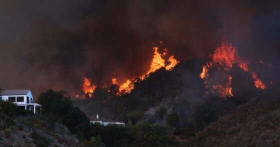 Insurance commissioner says probe into State Farm claims handling possible