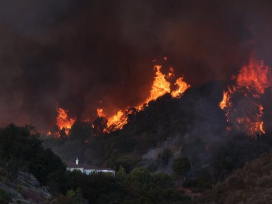 Insurance commissioner says probe into State Farm claims handling possible