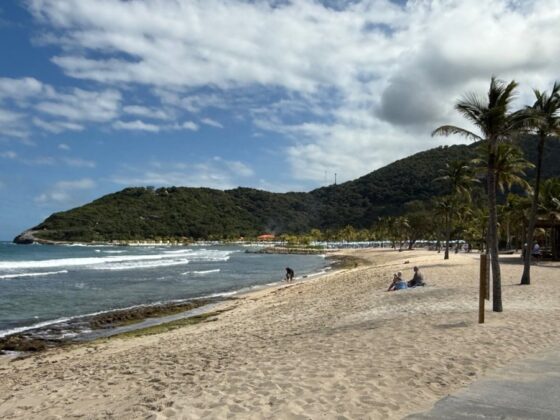 Popular clothing retailer shares bad Chapter 11 bankruptcy news