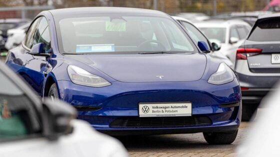 Tesla CEO Elon Musk saw this speed bump coming a mile away