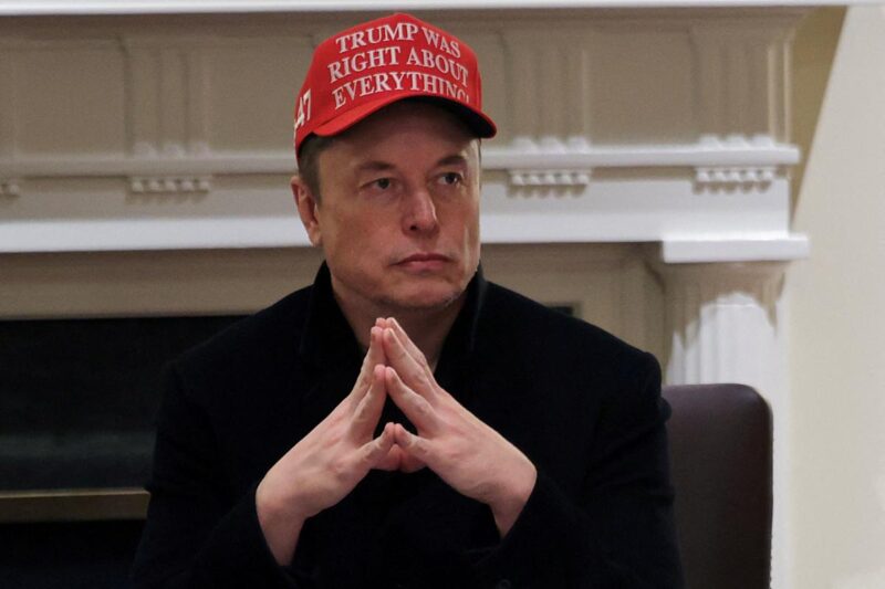Tesla, Nvidia, GameStop, Palantir and Whitbread
