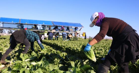 U.S. farm economy is starting to see first hits from Trump tariffs