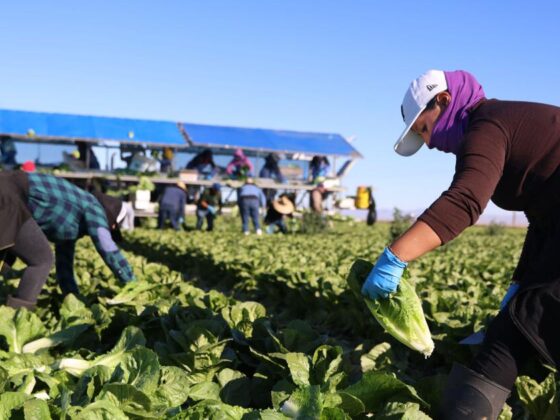 U.S. farm economy is starting to see first hits from Trump tariffs