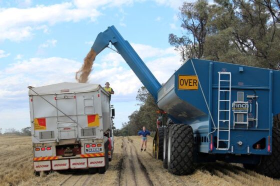 Weak Chinese demand leaves Australia with too much wheat