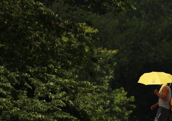 FTAV’s further reading