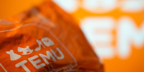 Seoul city government asks Temu, AliExpress to stop selling children’s products that exceed limits on hazardous substances