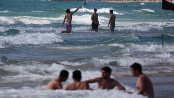 FTAV’s further reading