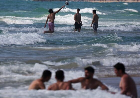 FTAV’s further reading