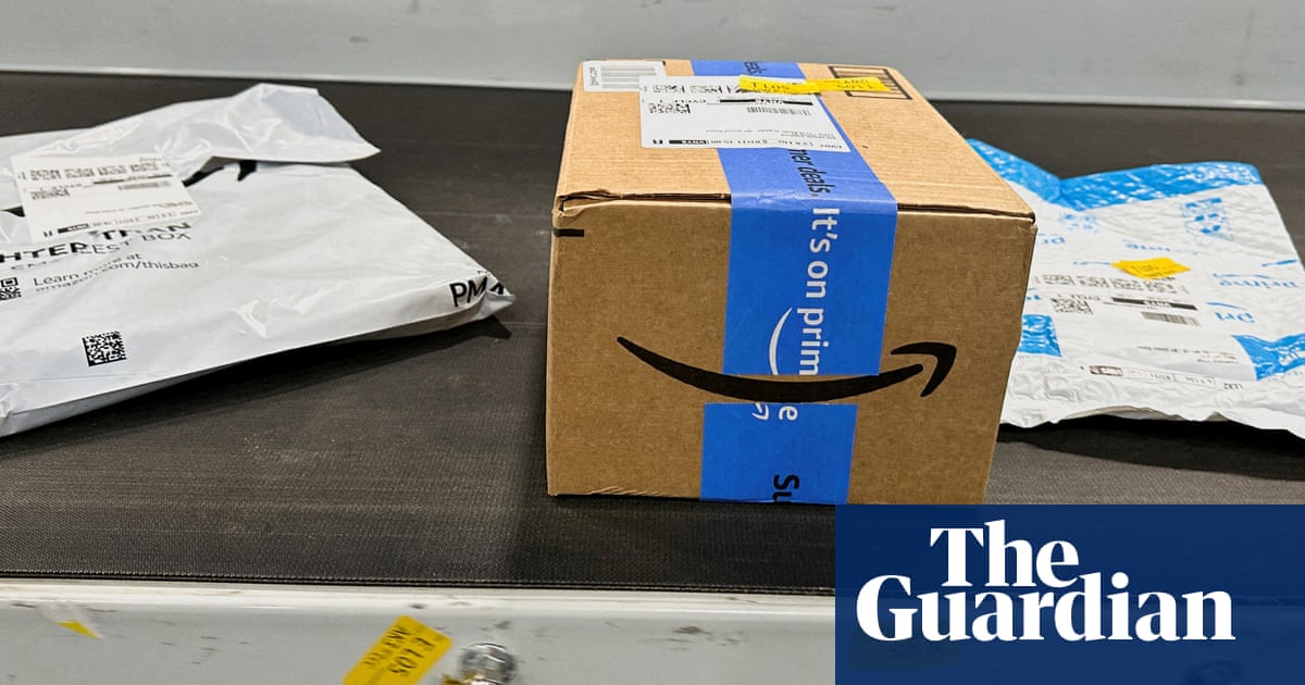 Disabled Amazon workers in corporate jobs allege ‘systemic discrimination’ | US news