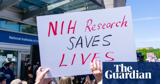 Cancer experts alarmed over ‘gut-wrenching’ Trump plan to cut research spending by billions | Trump administration