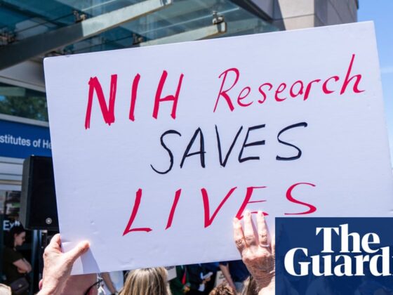 Cancer experts alarmed over ‘gut-wrenching’ Trump plan to cut research spending by billions | Trump administration