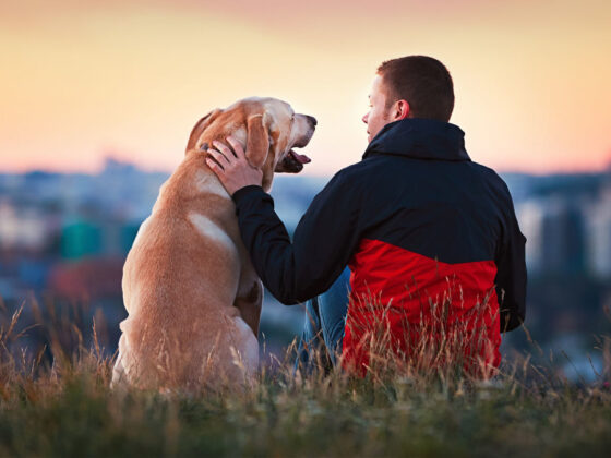 Dave Ramsey has blunt words on spending money to keep a dog alive