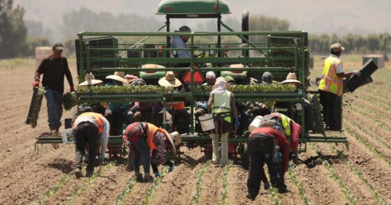 Farms, hotels and restaurants press Trump to spare their businesses from raids