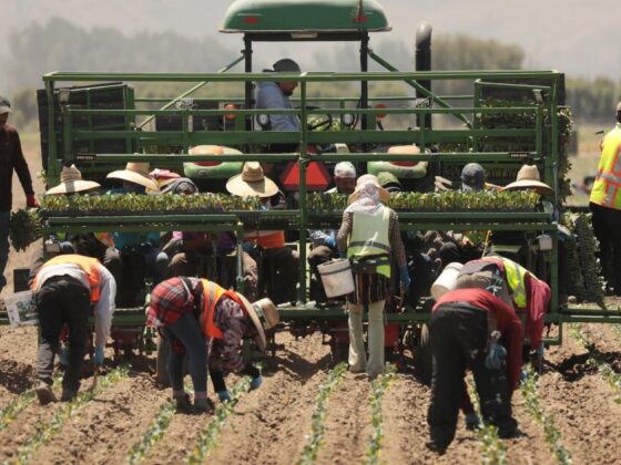 Farms, hotels and restaurants press Trump to spare their businesses from raids