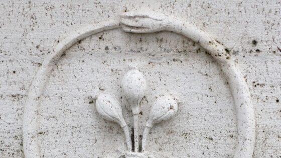 Inside the private equity-insurance nexus