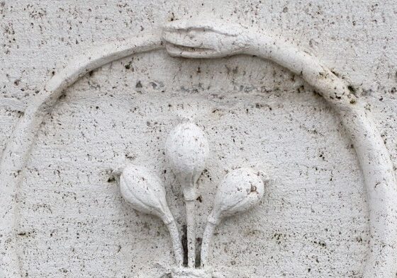 Inside the private equity-insurance nexus