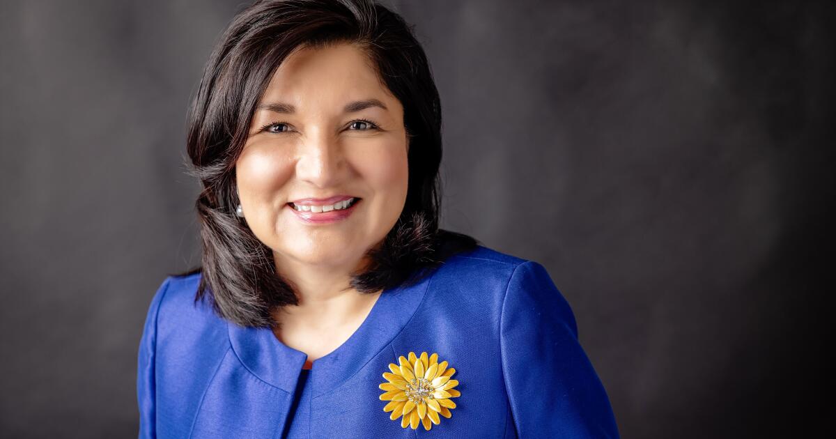 L.A. Chamber of Commerce leader says raids, tariffs have hurt business