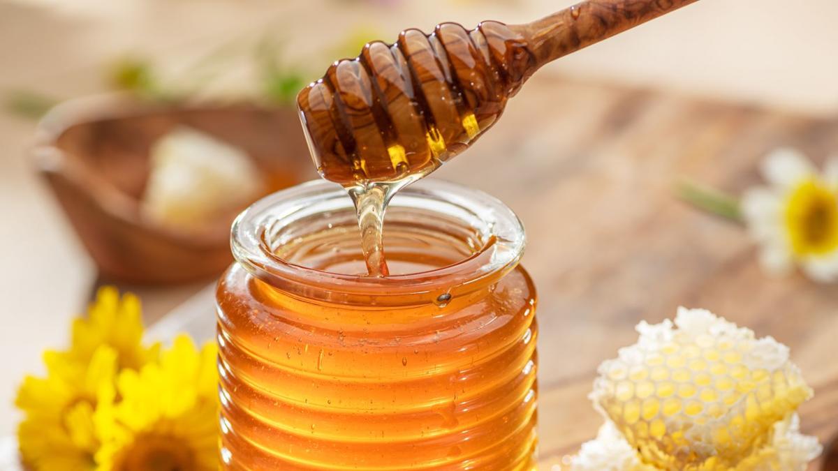 Schwarz Produktion eyes move for German honey maker Göbber