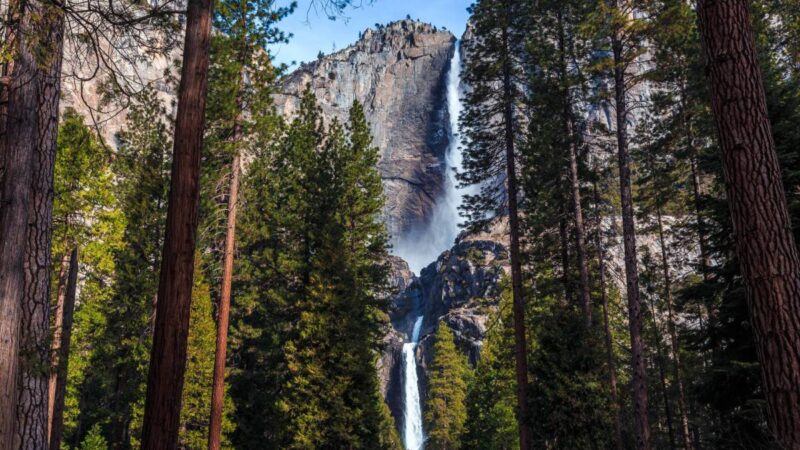 String of deaths prompts national park to issue safety warning