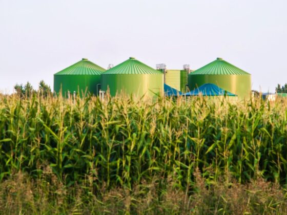 The Little-Known Credit Holding Up the Clean Fuel Market