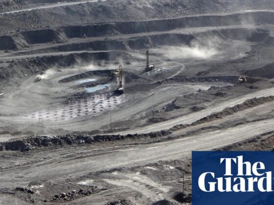 US reaches deal with China to speed up rare-earth shipments, White House says | International trade