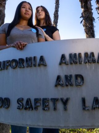 Union presses California’s key bird flu testing lab for records