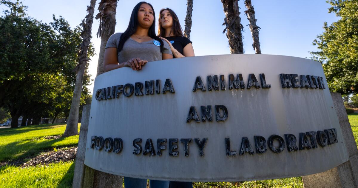 Union presses California’s key bird flu testing lab for records
