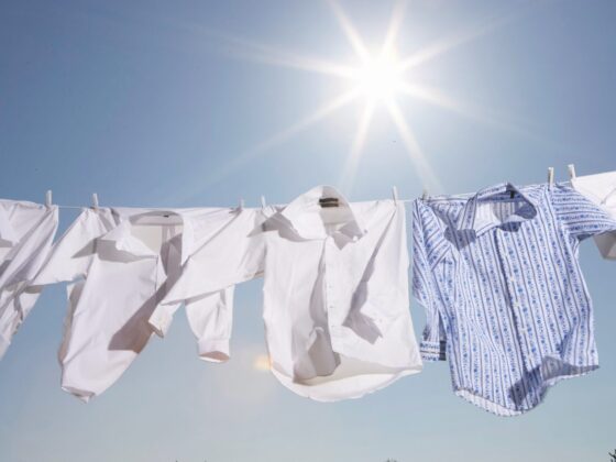 Volatility Laundering: Public Pension Funds and the Impact of NAV Adjustments