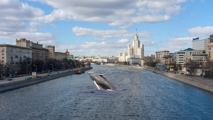 Whale-watching the stablecoin trade in ersatz roubles for sort-of dollars