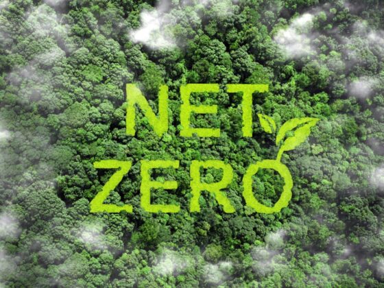 Navigating Net-Zero Investing Benchmarks, Incentives, and Time Horizons