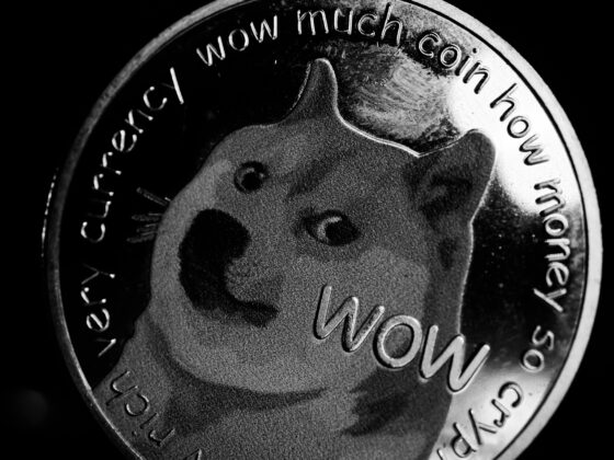 DOGE Bulls Hold The Line At alt=