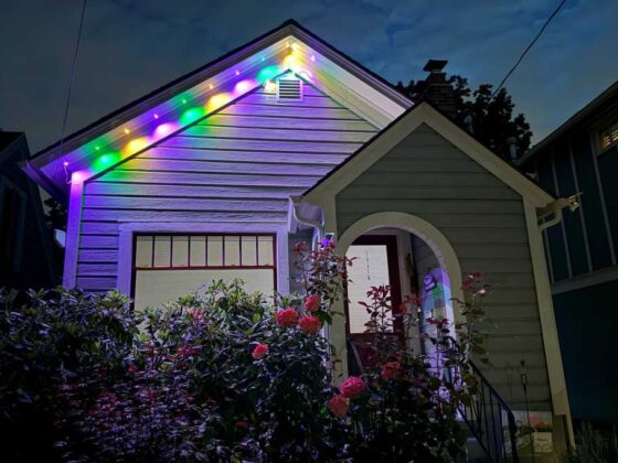 I put up these holiday lights last year—and they’re not coming down