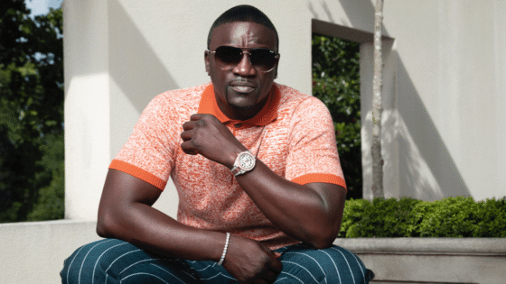 Akon’s Futuristic Crypto City Officially Terminated