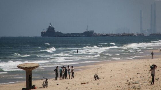 BCG earned more than mn for Gaza aid barge project