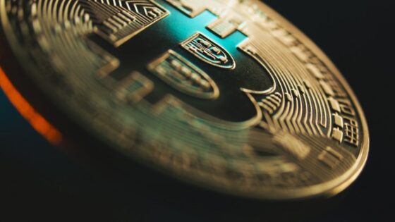 Economist Steve Hanke Torches Bitcoin Strategy With Brutal ‘No Value’ Verdict