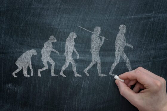 From Darwin to Wall Street: Harnessing Evolutionary Theory for Smarter Investments