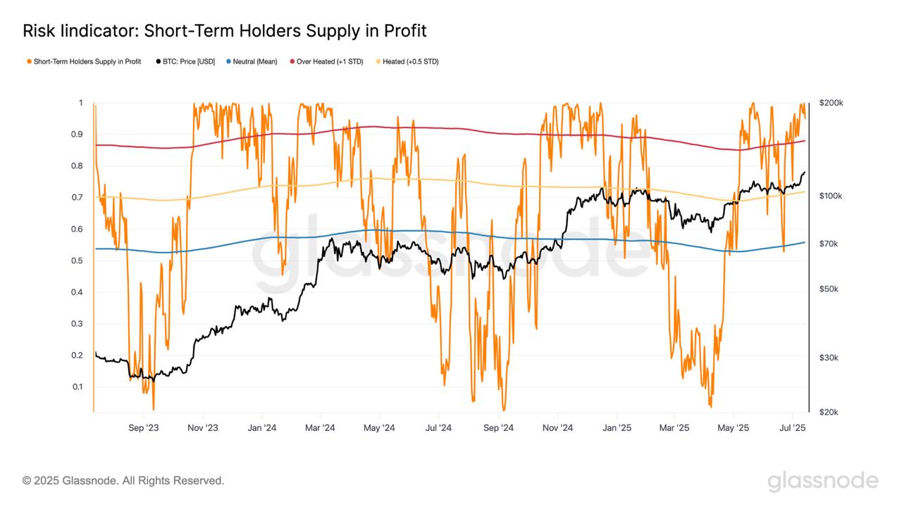 Bitcoin STH Supply In Profit