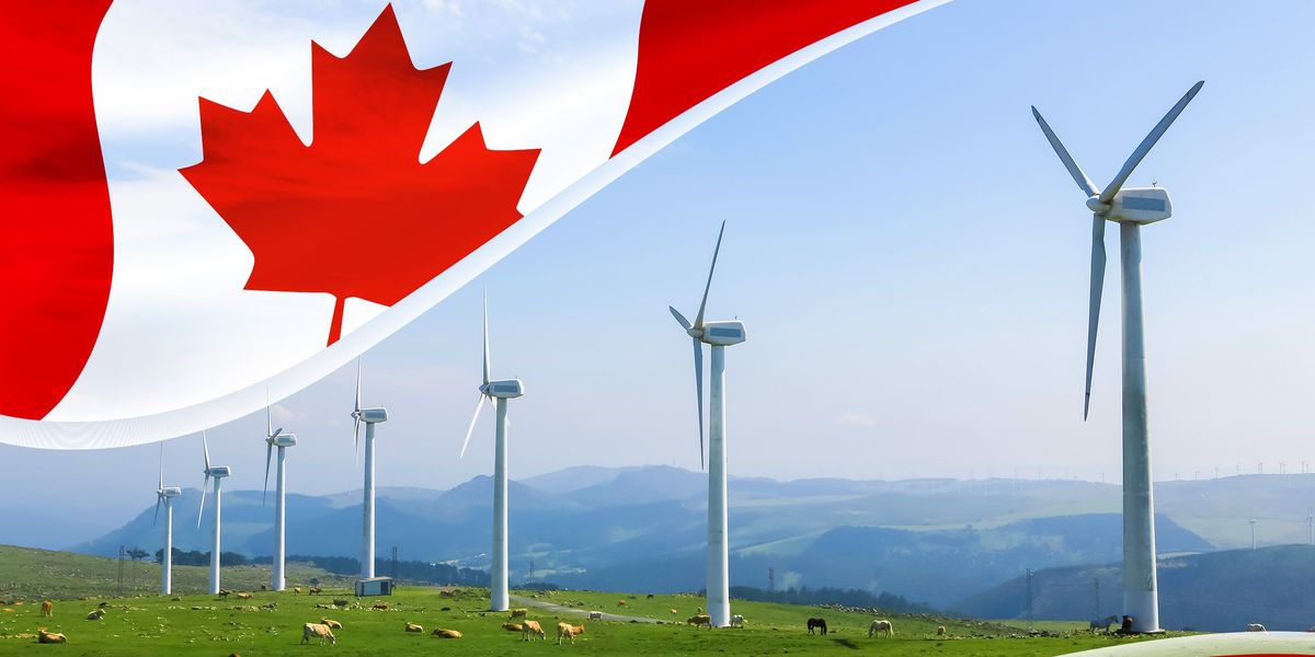 3 Best-performing Canadian Cleantech Stocks of 2025
