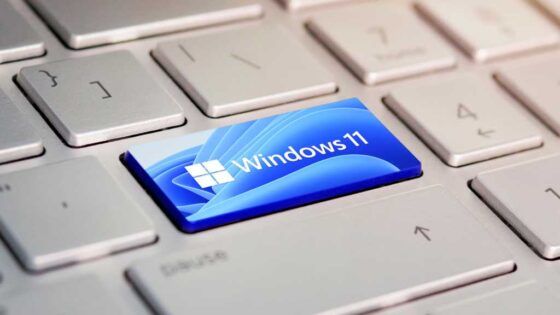 Absurd! Get a legit Windows 11 license for  instead of the usual 9